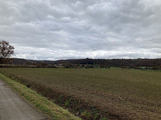 N°9 Entre Loire et plaine_Saint-Laurent-la-Conche