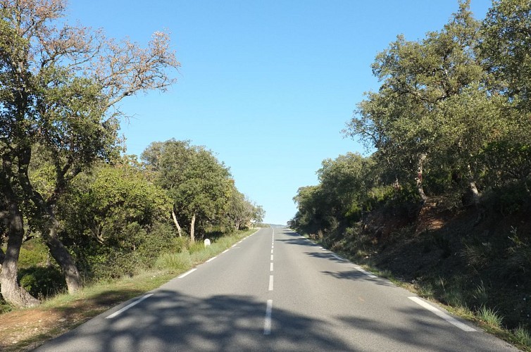 Balade à vélo Bormes les Mimosas, La Londe Les Maures, Collobrières !