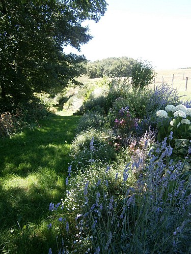 Variante Chemin des Écoliers et Sentier Pastoral des Aymes