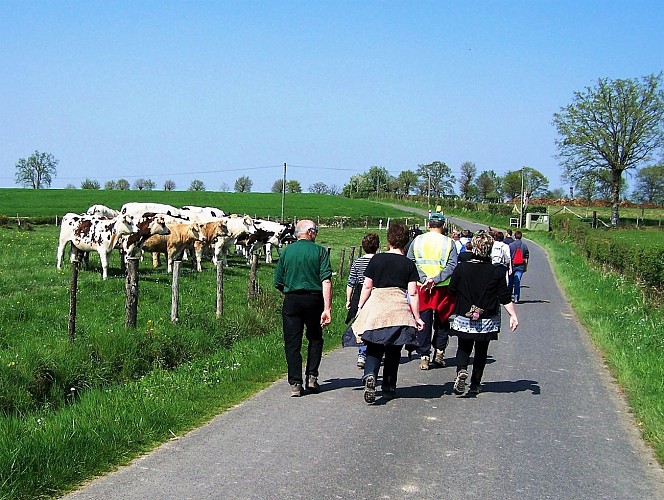 85 Boucle des Mésanges (ChevaignéduMaine) Parcours marche