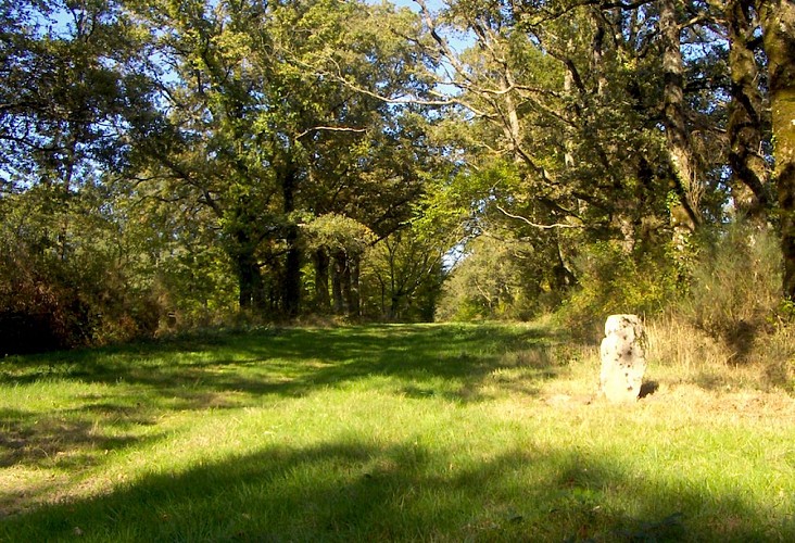 Circuit du Prince Noir