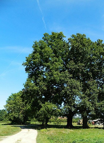 Circuit du Prince Noir_2