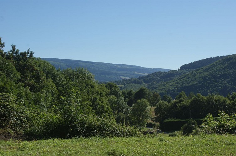 Desde el valle hasta la orilla del bosque