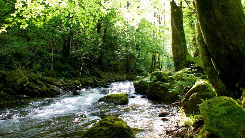 The Candesoubre stream