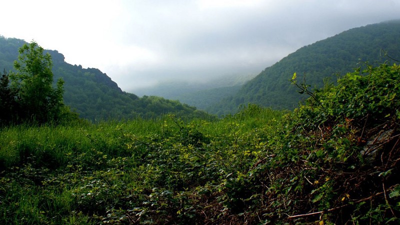 El arroyo de Candesoubre