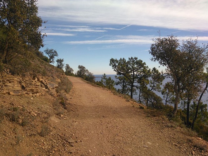 Regard vers la piste et les Iles de Lérins