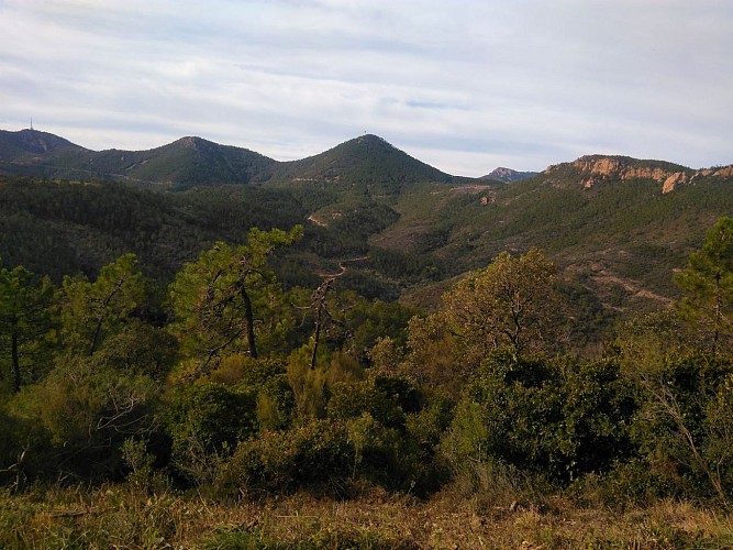 Il reste bien d'autres pistes !
