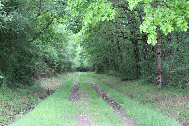 Circuit du pont des Gouttes