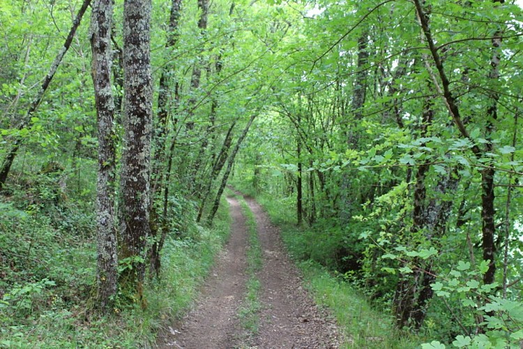 Boucle Saint-Avit-de-Soulège
