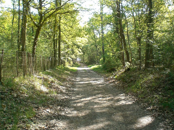 Boutigny