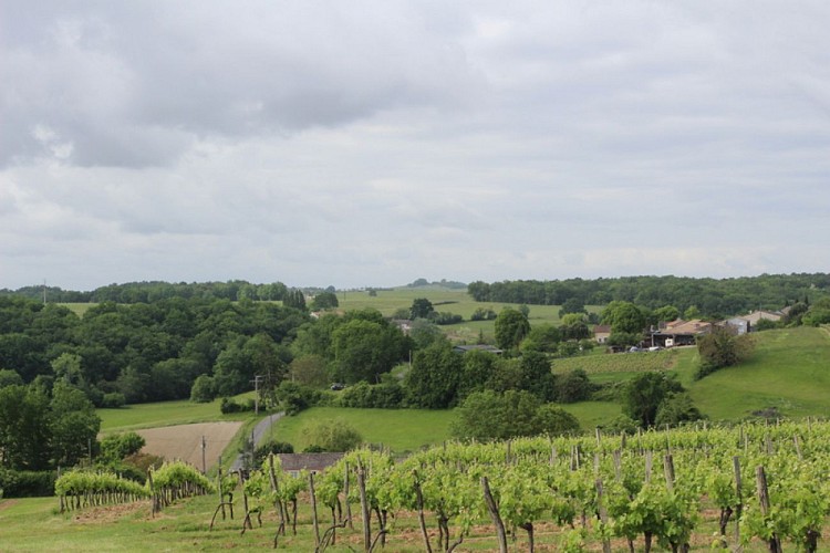 Vue sur la campagne