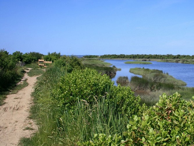 Sur les pistes de Robin : "Jeu découverte du Domaine de Graveyron"