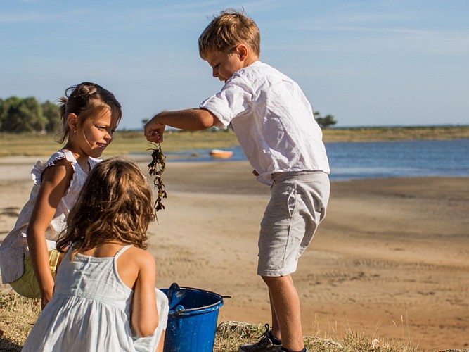 Sur les pistes de Robin : "Jeu découverte du Domaine de Graveyron"