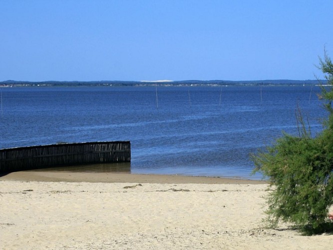 Sur les pistes de Robin : "Jeu découverte du Domaine de Graveyron"