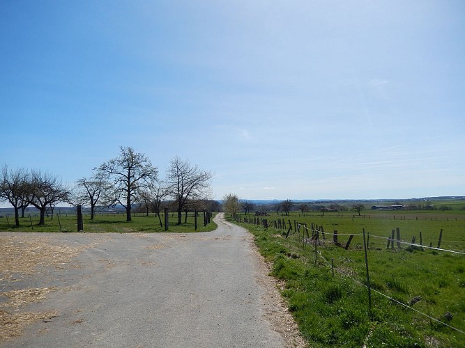Balade sonore - Découverte du village de Pfalzweyer