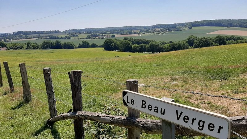 La tuilerie des Saules