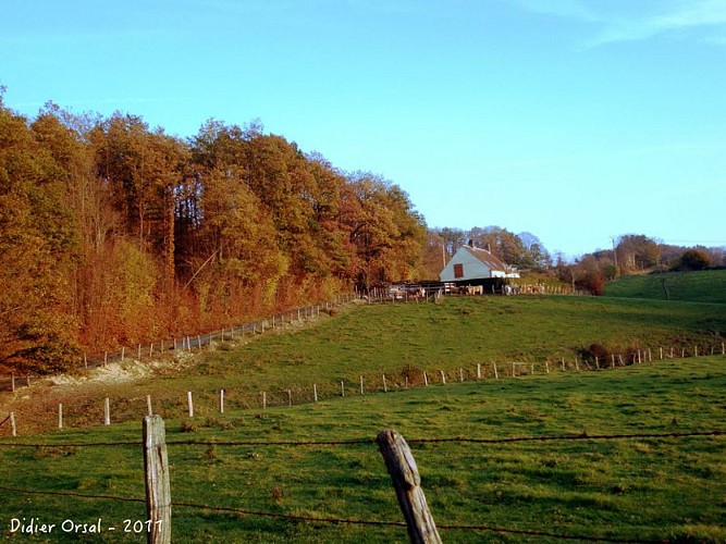 La tuilerie des Saules
