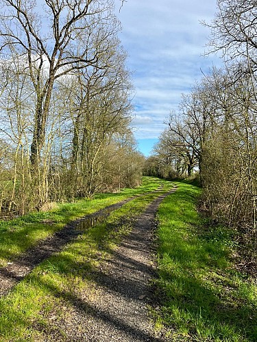 Chemin des Marionnières