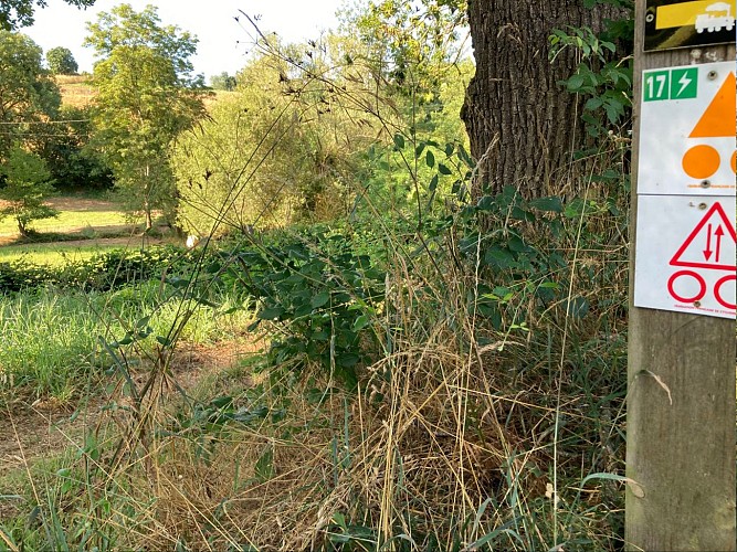 N°17 Les rives de la Charpasonne_Panissières