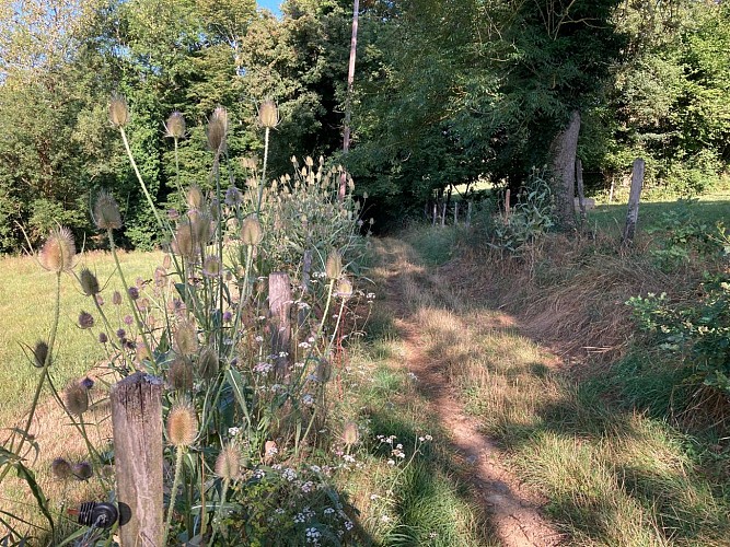 N°17 Les rives de la Charpasonne_Panissières