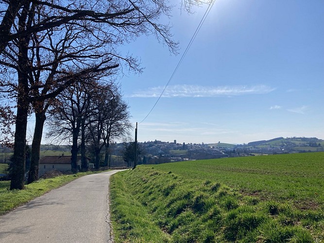 N°17 Les rives de la Charpasonne_Panissières