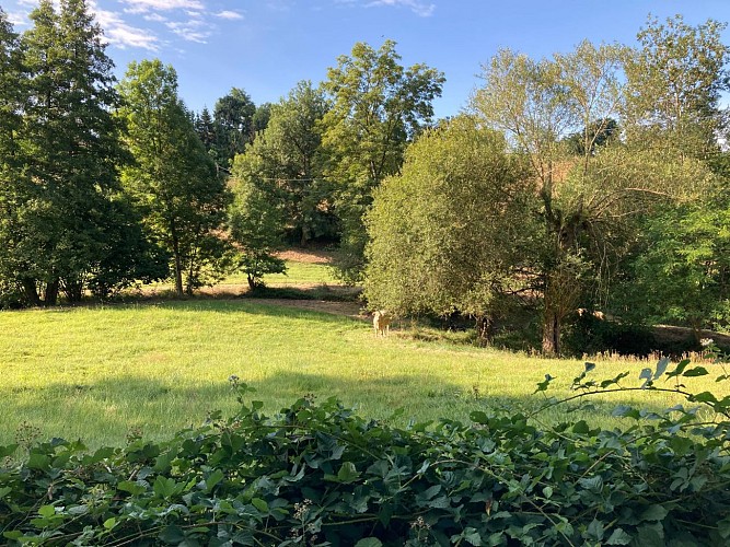 N°17 Les rives de la Charpasonne_Panissières