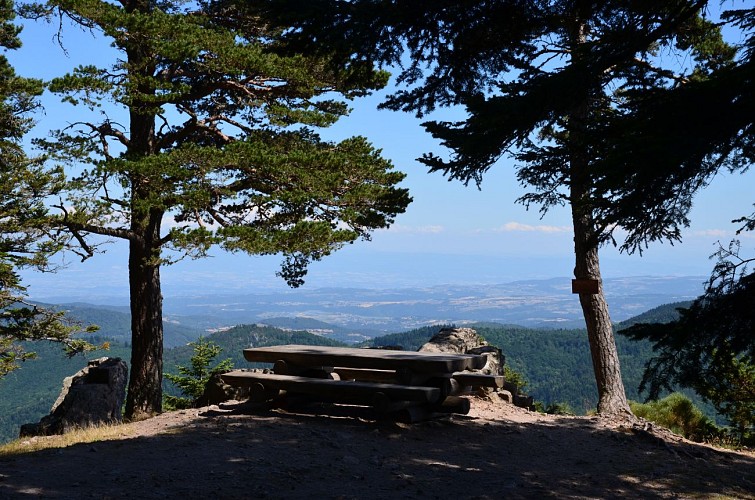 Table de pique-nique Rochelipe