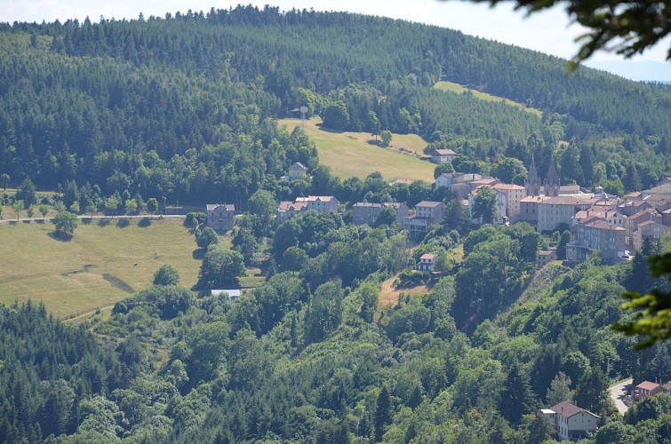 Vue sur Lalouvesc