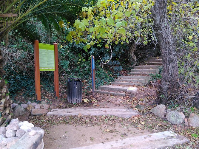 Début de l'escalier et du sentier