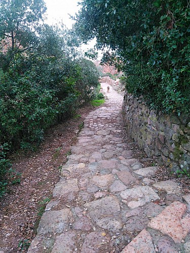 La descente vers les calanques