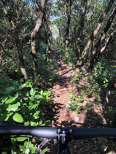 LA PÈNE GALARGUES - ESPACE VTT-FFC PAYS DE LUNEL