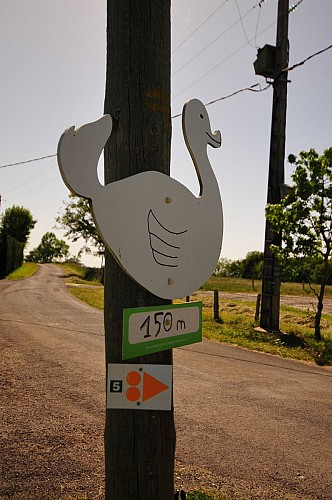 Le plateau de Taussac