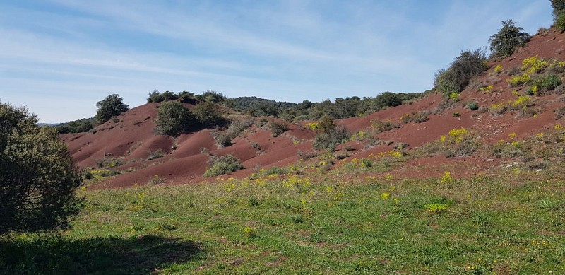 Les ruffes rouges