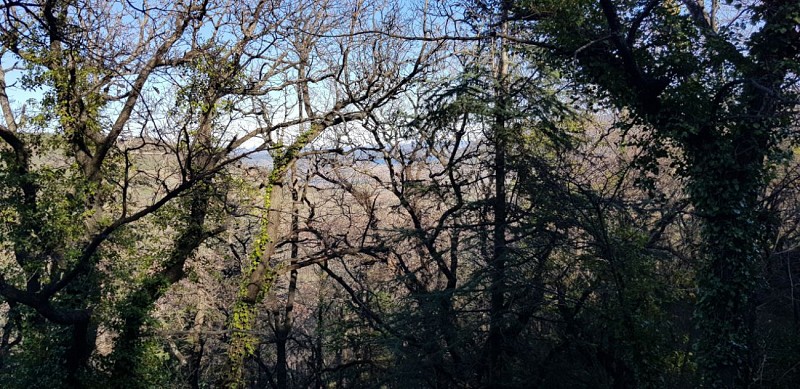 Vue sur le lac du Salagou