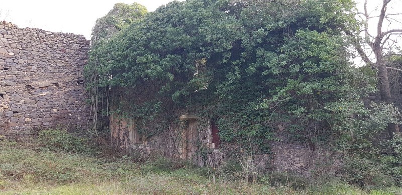 Les ruines du hameau de Toucou