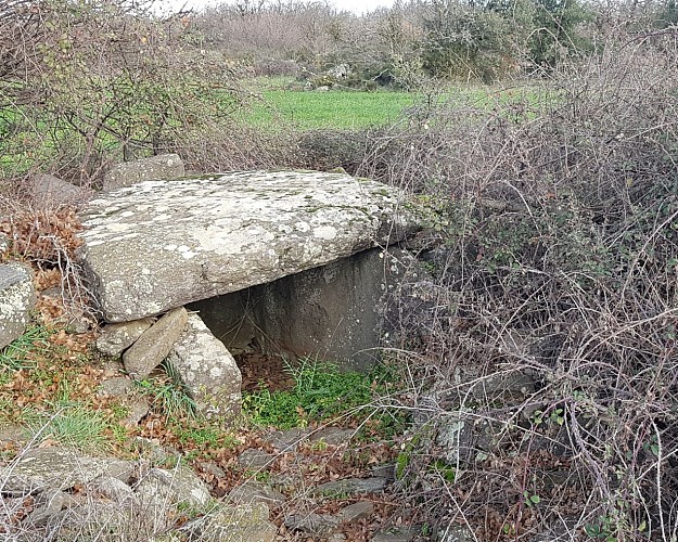 L'un des dolmens