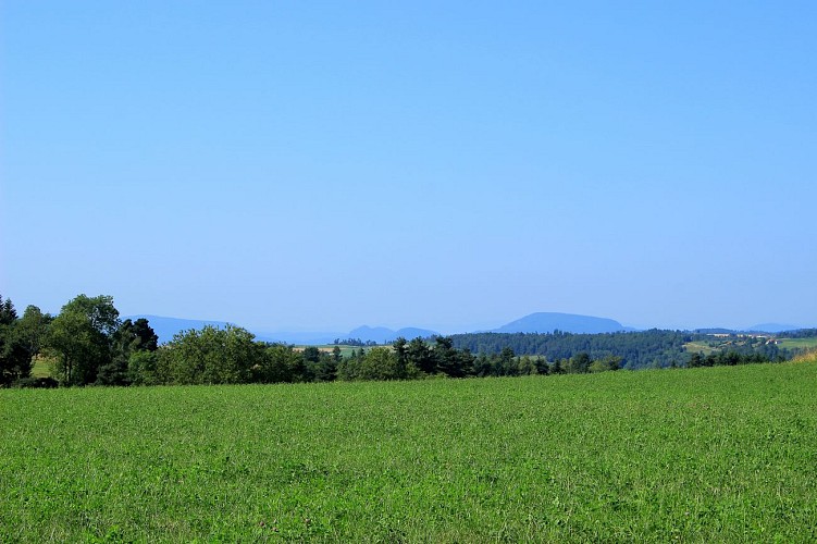 Le circuit des pierres