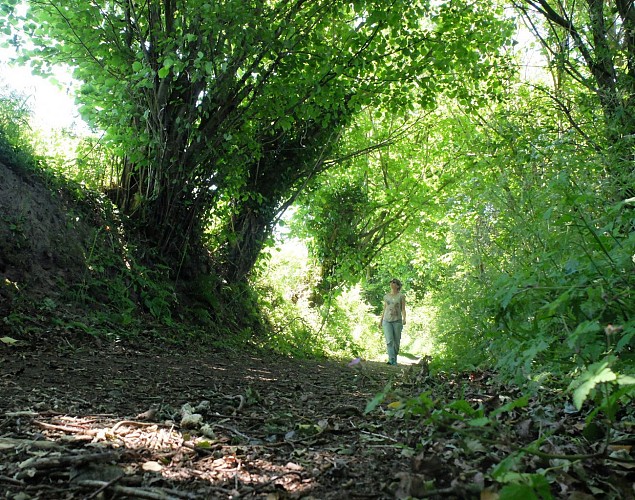 A pied - Au coeur de la vallée du Boscq