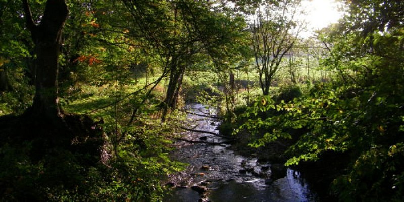 A pied - Au coeur de la vallée du Boscq