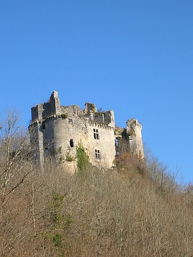 Saint Pierre de Côle chateau de bruzac