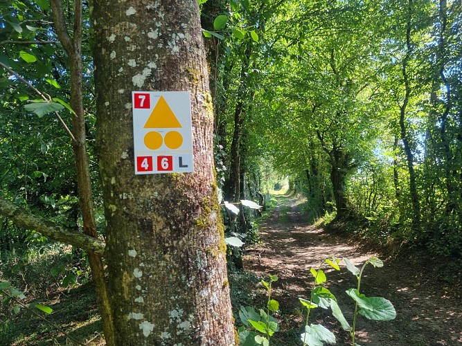 Circuit VTT-VTC n°6 (rouge) Chemins des bois de Bresse (variante courte)