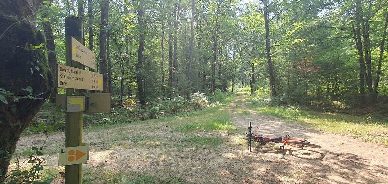 Circuit VTT-VTC n°6 (rouge) Chemins des bois de Bresse (variante courte)