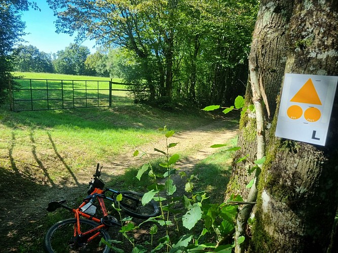 Circuit VTT-VTC n°6 (rouge) Chemins des bois de Bresse (variante courte)