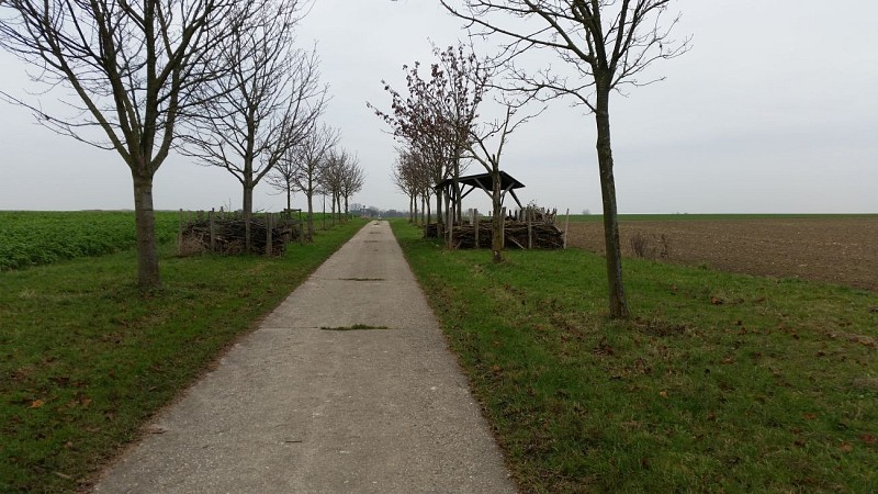 Haspengow from Buvingen