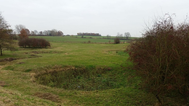 Haspengow from Buvingen