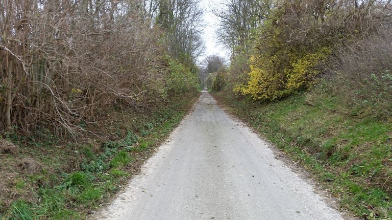 Haspengow from Buvingen