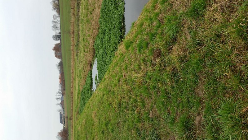 Haspengow from Buvingen