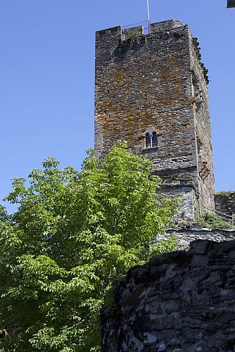 Les cimes du Château de Valon