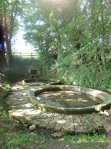 La fontaine des Ormois