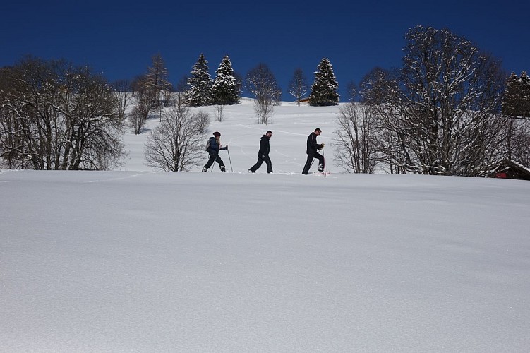 Snowshoes